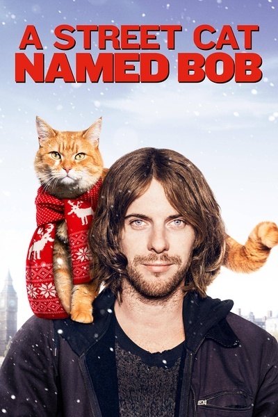 流浪猫鲍勃 A Street Cat Named Bob (2016)