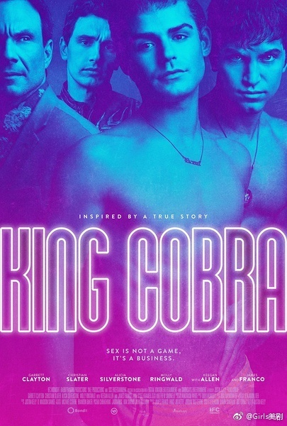 王蛇帝国 King Cobra [2016][剧情 / 情色 / 同性 / 犯罪][美国]【大尺度】
