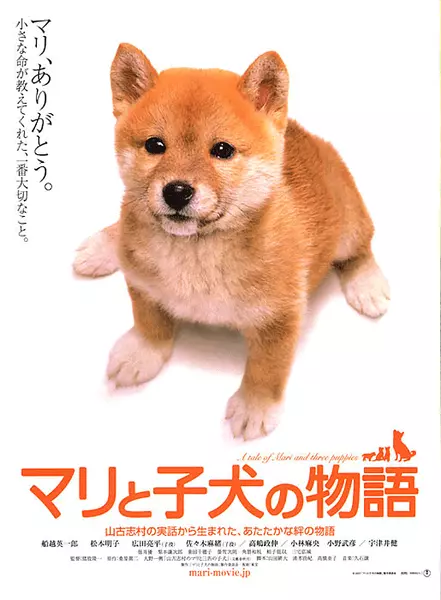 爱犬的奇迹 マリと子犬の物語 (2007)