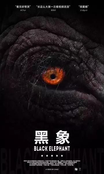 黑象 (2017)