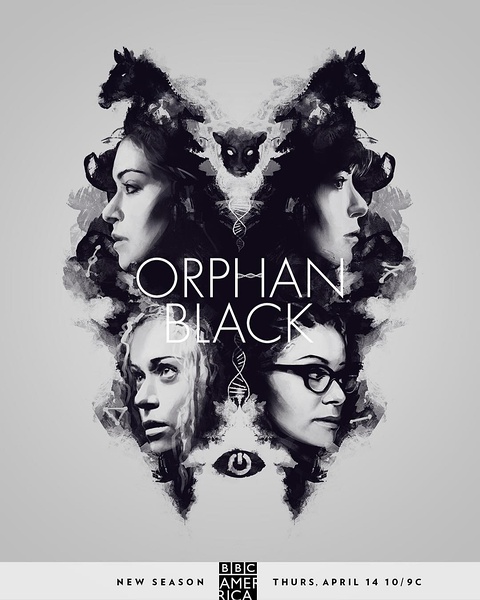 黑色孤儿 1-4季 Orphan Black Season 4 (2016)