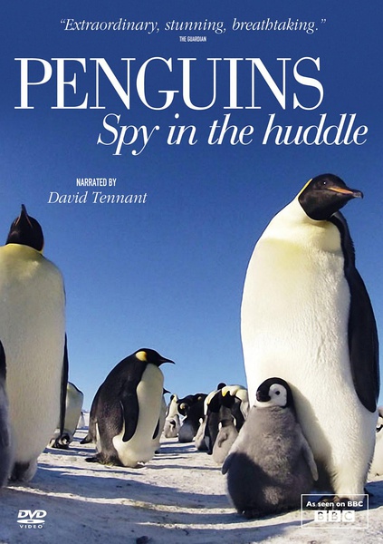 企鹅群里有特务 Penguins: Spy in the Huddle (2012)
