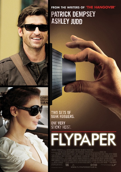 捕蝇纸 Flypaper (2011)