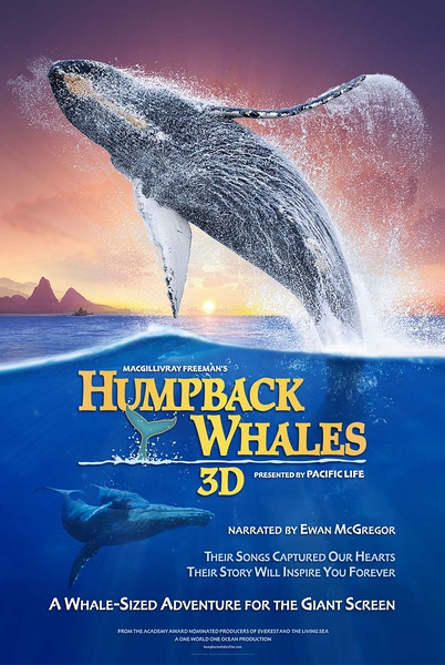 座头鲸 Humpback Whales (2015)