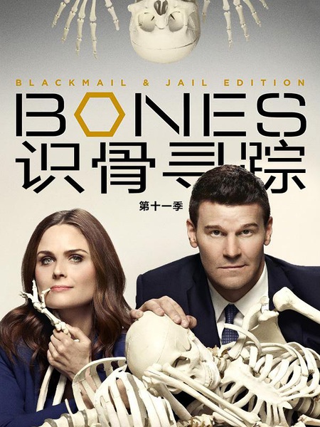 识骨寻踪 1-12季 Bones Season