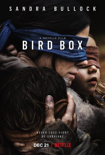 蒙上你的眼 Bird Box 【美国】【剧情 / 科幻 / 惊悚】【2018】