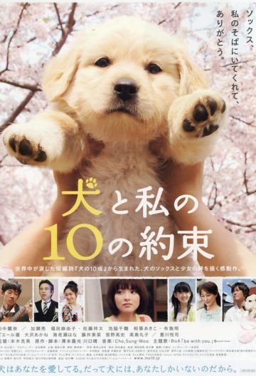 狗狗与我的十个约定 犬と私の10の約束 【2008】【日本】【电影】