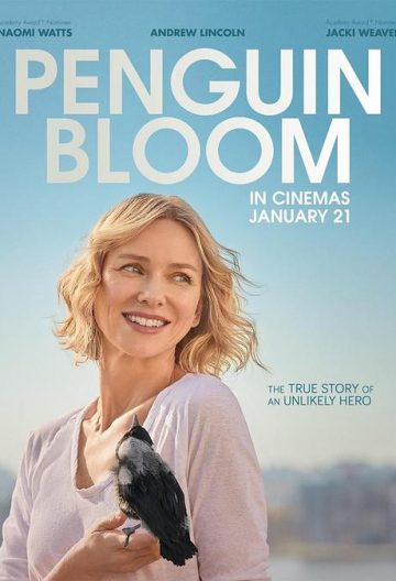 企鹅布鲁姆 Penguin Bloom【2020】【澳大利亚/美国】【剧情】