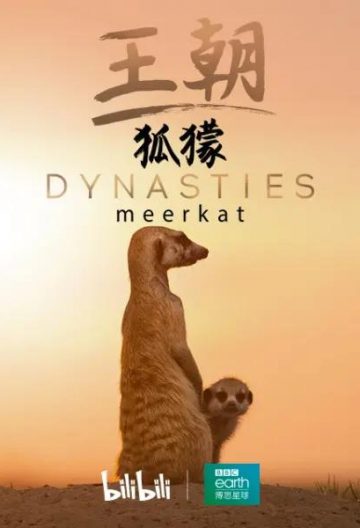 王朝：狐獴特辑 Dynasties: Meerkat Special【2020】【英国】【纪录片】