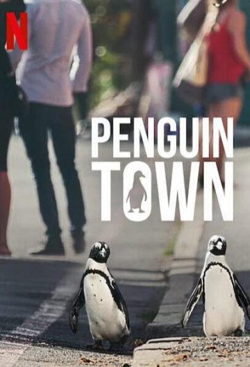 企鹅小镇 Penguin Town【2021】【南非】【纪录片】【全集】