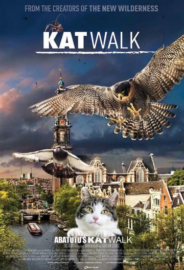 阿姆斯特丹猫未眠 Katwalk【2020】【荷兰】【纪录片】