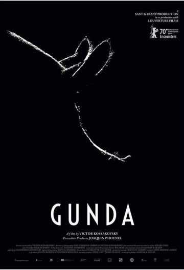 贡达 Gunda【2020】【挪威/美国】【纪录片】