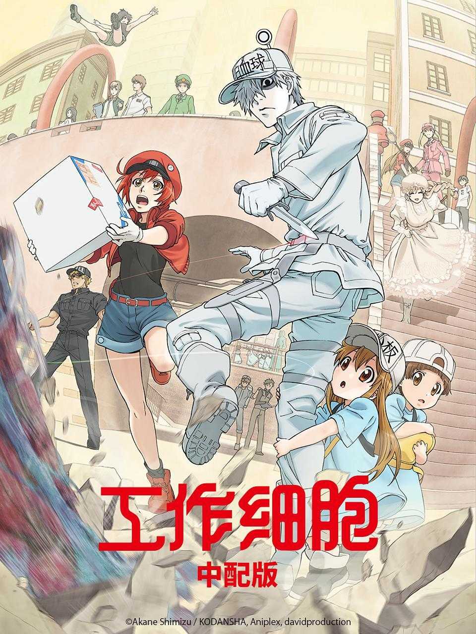 《工作细胞 第一季》百度云网盘下载.BD1080P.日语