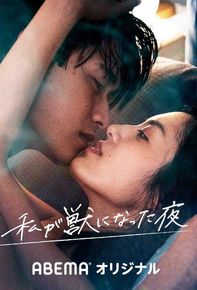 《我放纵情欲的夜晚》百度云网盘下载.BD1080P.日