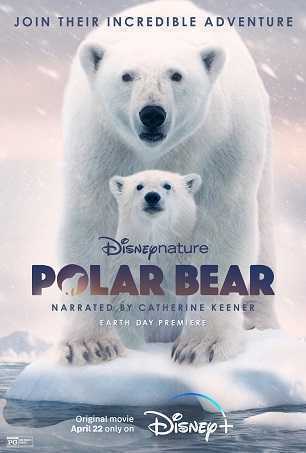 《北极熊》百度云网盘下载.1080P下载.英语中字
