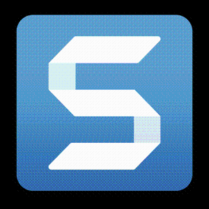 TechSmith Snagit 2022.2.4 macOS
